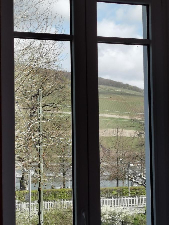 Rheinufer Am Hindenburgpark Apartment Bingen am Rhein Exterior foto